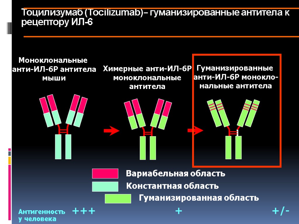 Тоцилизумаб (Tocilizumab)– гуманизированные антитела к рецептору ИЛ-6 Антигенность +++ + +/- у человека